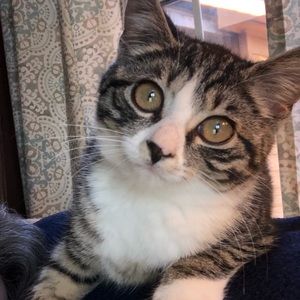 Meet your Posher, Elaine